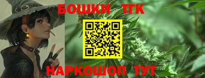шишки Обь