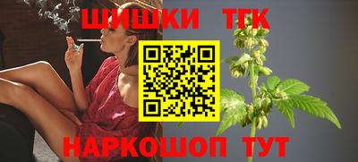шишки Обь