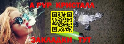шишки Обь