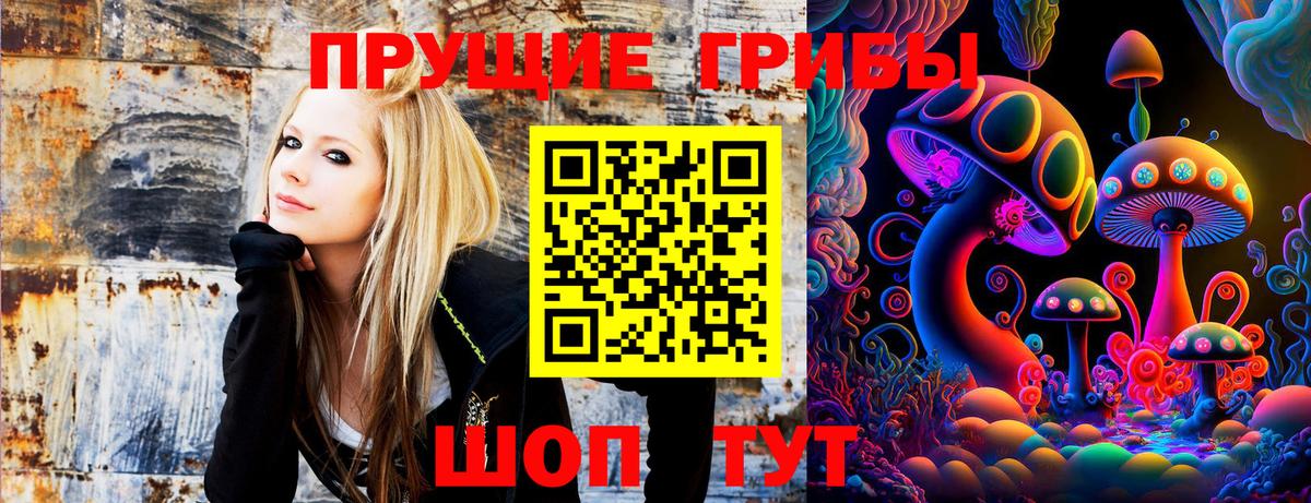 купить  сайты  Псилоцибиновые грибы Psilocybine cubensis  Вход с VPN  Новороссийск 